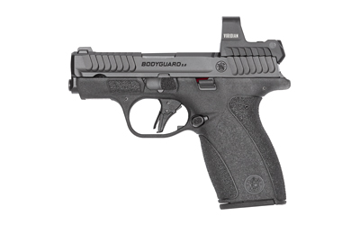 S&W BDYGRD 2.0 RFX1 380ACP 12RD NTS - for sale